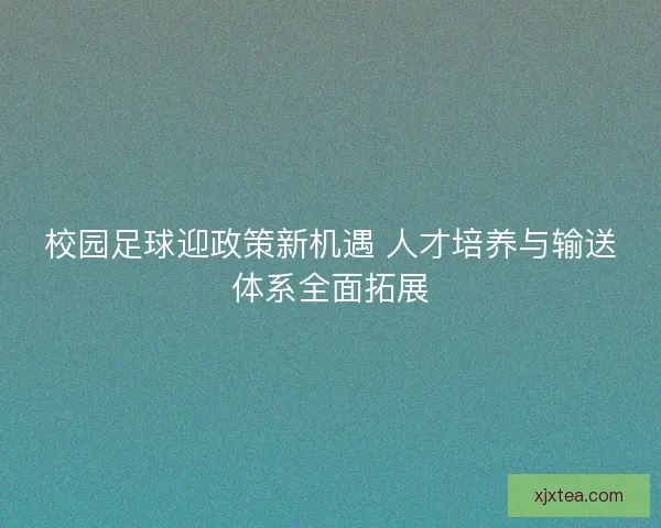 校园足球迎政策新机遇 人才培养与输送体系全面拓展
