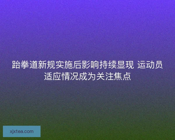 跆拳道新规实施后影响持续显现 运动员适应情况成为关注焦点 跆拳道新规实施后影响持续显现 运动员适应情况成为关注焦点
