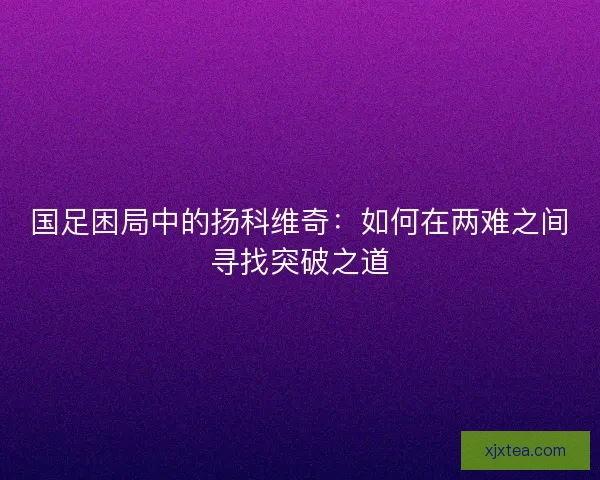 国足困局中的扬科维奇：如何在两难之间寻找突破之道