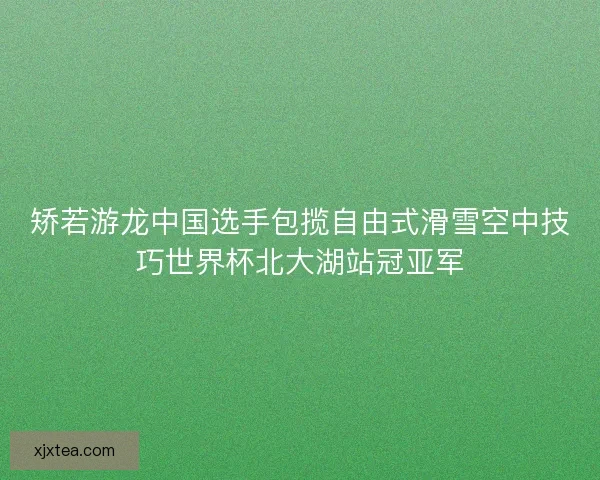 矫若游龙中国选手包揽自由式滑雪空中技巧世界杯北大湖站冠亚军