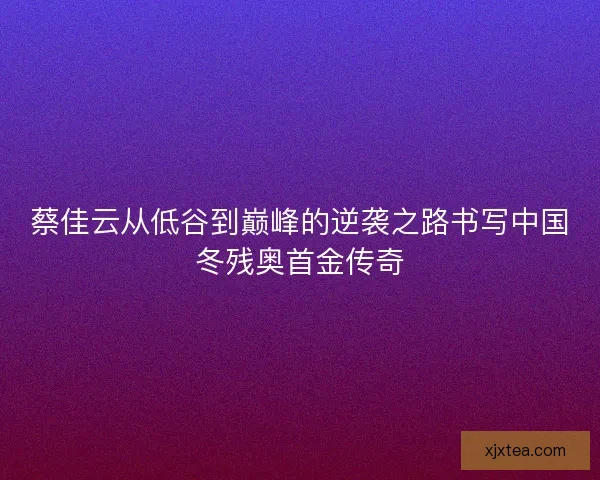 蔡佳云从低谷到巅峰的逆袭之路书写中国冬残奥首金传奇 蔡佳云从低谷到巅峰的逆袭之路书写中国冬残奥首金传奇