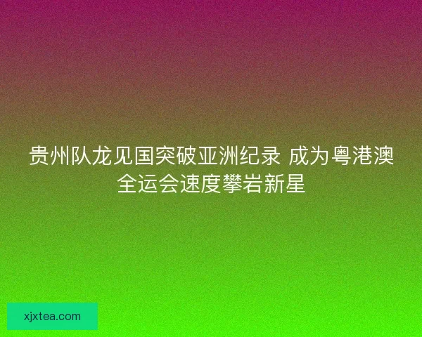 贵州队龙见国突破亚洲纪录 成为粤港澳全运会速度攀岩新星