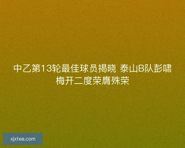 中乙第13轮最佳球员揭晓 泰山B队彭啸梅开二度荣膺殊荣